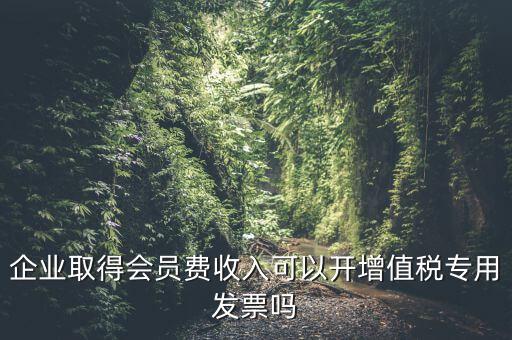 企業(yè)取得會(huì)員費(fèi)收入可以開增值稅專用發(fā)票嗎