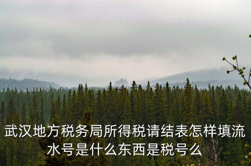 武漢地方稅務(wù)局所得稅請結(jié)表怎樣填流水號是什么東西是稅號么