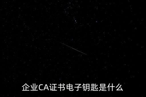 企業(yè)CA證書電子鑰匙是什么