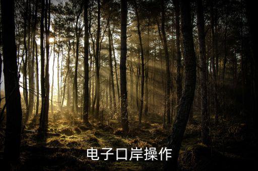 電子口岸里面要操作什么，電子口岸操作