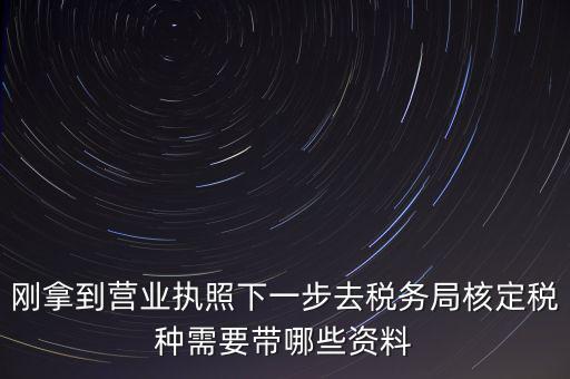 湖北國稅增加稅種需要帶什么資料，企業(yè)報稅種需要帶什么資料