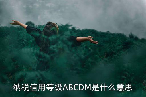 納稅信用等級ABCDM是什么意思