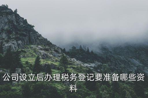 公司設(shè)立后辦理稅務(wù)登記要準(zhǔn)備哪些資料