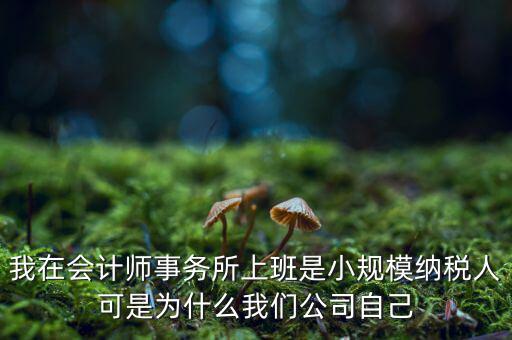 我在會計師事務所上班是小規(guī)模納稅人可是為什么我們公司自己