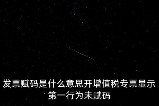 發(fā)票賦碼是什么意思開增值稅專票顯示第一行為未賦碼