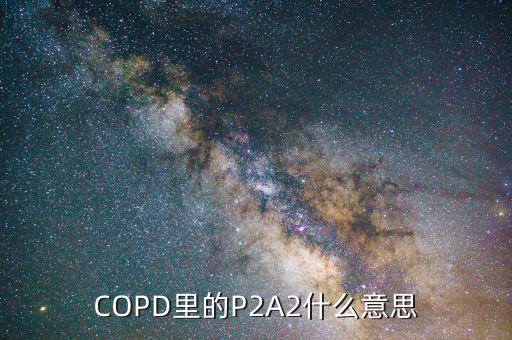 COPD里的P2A2什么意思