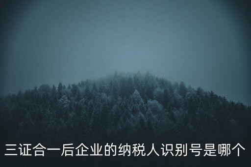 三證合一后企業(yè)的納稅人識別號是哪個