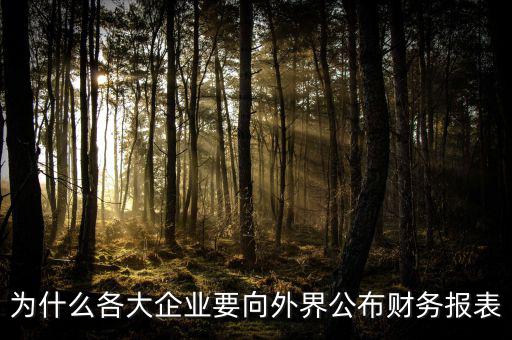 為什么要報送財務(wù)報表，為什么要編財務(wù)報表