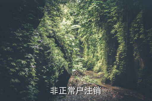 非正常戶注銷