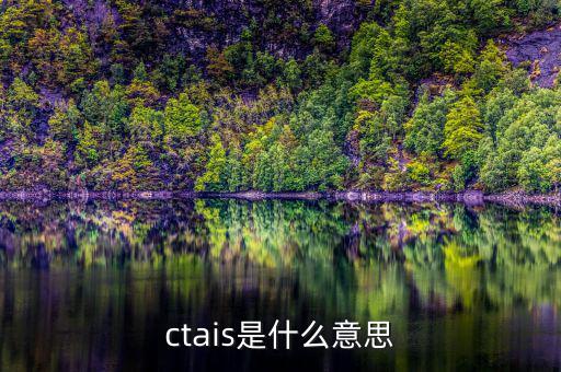 ctais是什么意思，ctais中增值稅認(rèn)定級別是什么意思