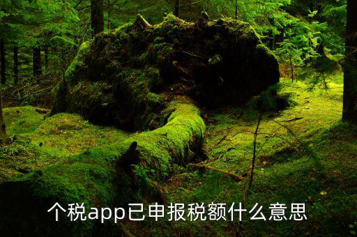 個稅app已申報稅額什么意思