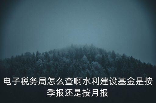 電子稅務(wù)局怎么查啊水利建設(shè)基金是按季報(bào)還是按月報(bào)