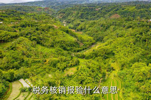 地稅核銷報驗是什么意思，地稅發(fā)票報驗是什么回事啊 怎么報驗什么時候報驗啊
