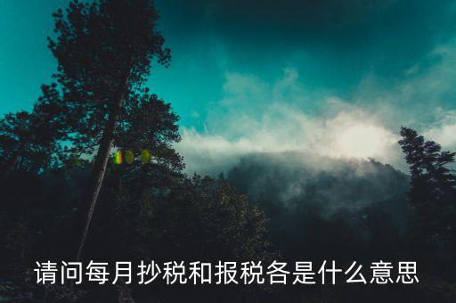 請問每月抄稅和報稅各是什么意思