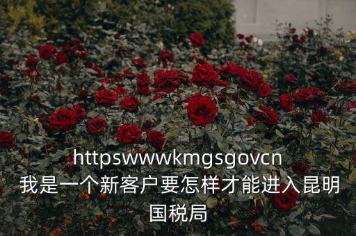 httpswwwkmgsgovcn 我是一個(gè)新客戶要怎樣才能進(jìn)入昆明國(guó)稅局