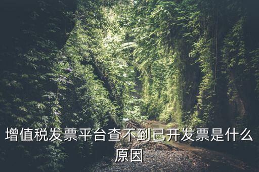 增值稅發(fā)票平臺(tái)查不到已開(kāi)發(fā)票是什么原因