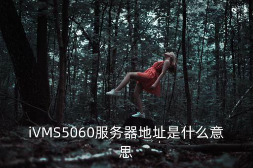 iVMS5060服務器地址是什么意思