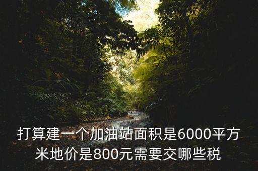 加油站都繳什么稅，打算建一個(gè)加油站面積是6000平方米地價(jià)是800元需要交哪些稅