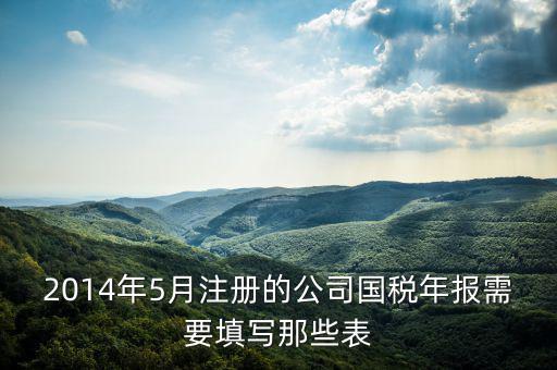 2014年5月注冊(cè)的公司國(guó)稅年報(bào)需要填寫那些表