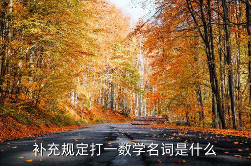 補充規(guī)定打一數學名詞是什么