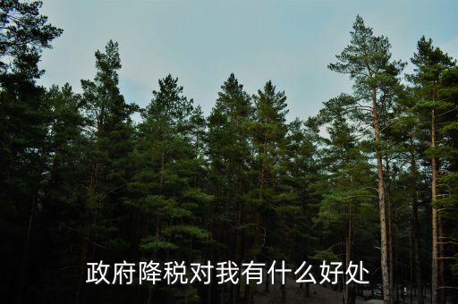 減稅有什么調(diào)節(jié)作用，政府降稅對我有什么好處