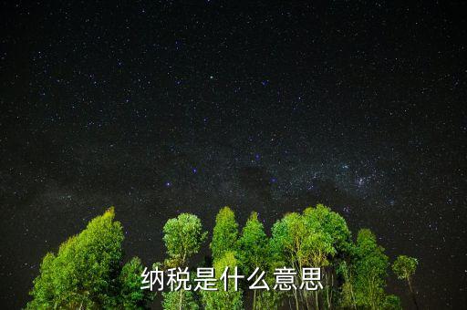 納稅是什么意思