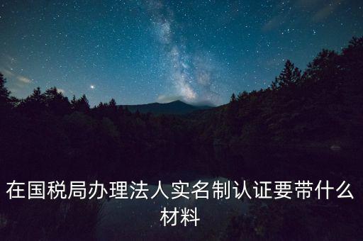 服務(wù)廳實(shí)名辦稅要帶什么，服務(wù)業(yè)辦稅務(wù)登記要些什么證件