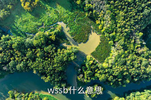 wssb什么意思