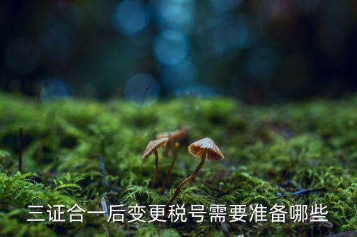 三證合一后變更稅號需要準(zhǔn)備哪些