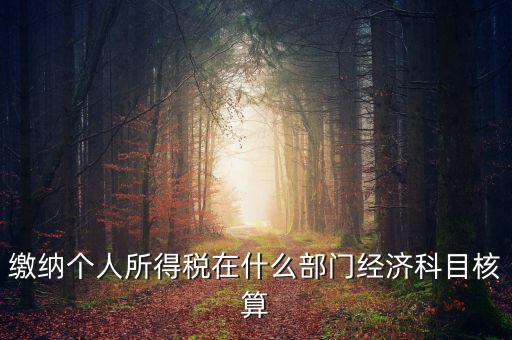 繳納個人所得稅在什么部門經(jīng)濟(jì)科目核算