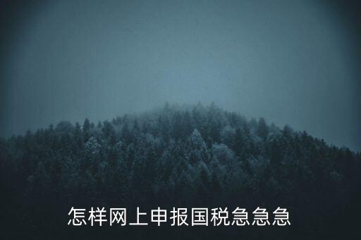 怎樣網(wǎng)上申報(bào)國稅急急急