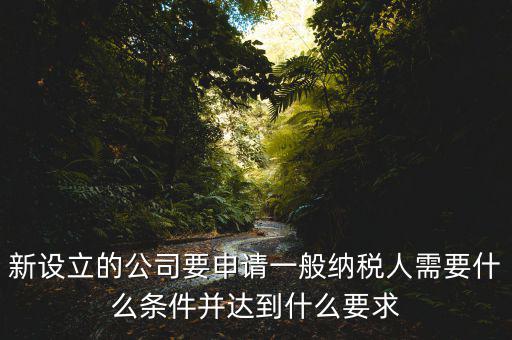 新設(shè)立的公司要申請一般納稅人需要什么條件并達(dá)到什么要求