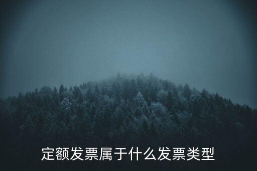 定額發(fā)票什么，河南省地稅定額發(fā)票怎么查詢