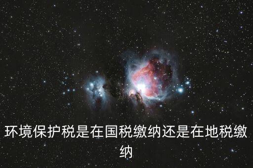 什么是環(huán)境保護稅納稅人，環(huán)境稅是什么意思