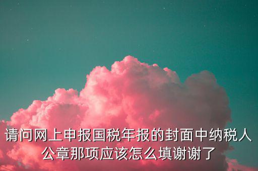 請問網(wǎng)上申報(bào)國稅年報(bào)的封面中納稅人公章那項(xiàng)應(yīng)該怎么填謝謝了