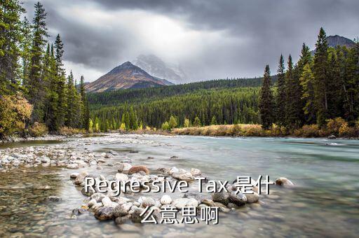 什么是稅收穿透，passthrough taxation是什么意思是直接繳稅嘛