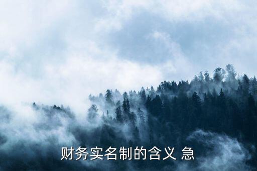 稅務(wù)實(shí)名制是什么意思，財(cái)務(wù)實(shí)名制的含義 急