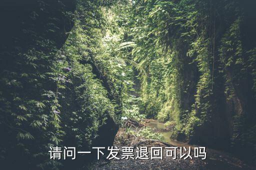 請問一下發(fā)票退回可以嗎