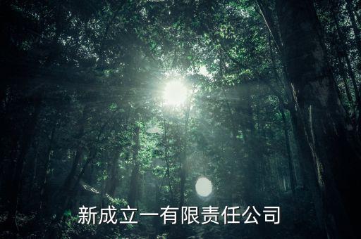 新成立一有限責(zé)任公司