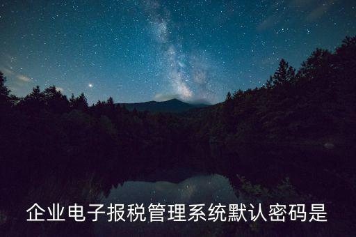 企業(yè)電子報稅管理系統(tǒng)默認密碼是