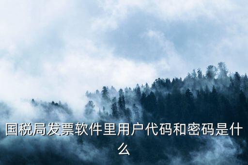 網上認證發(fā)票平臺密碼是什么樣的，國稅局發(fā)票軟件里用戶代碼和密碼是什么