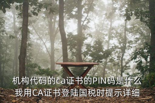 機構(gòu)代碼的ca證書的PIN碼是什么我用CA證書登陸國稅時提示詳細