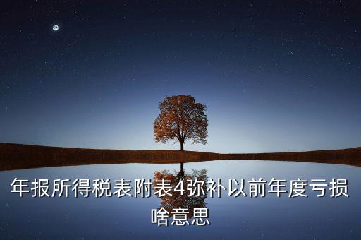 年報(bào)所得稅表附表4彌補(bǔ)以前年度虧損啥意思