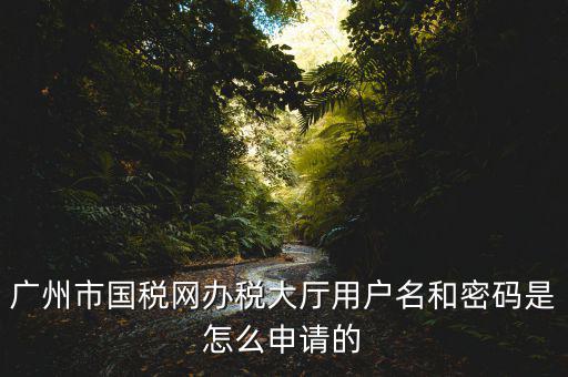 廣州國稅官網(wǎng)登錄密碼是什么原因，國稅第一次網(wǎng)上申報(bào)的登陸密碼是什么