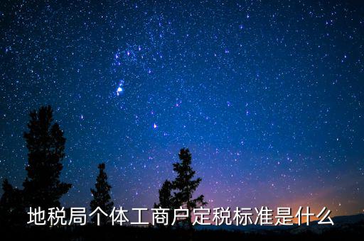 地稅局個體工商戶定稅標(biāo)準(zhǔn)是什么