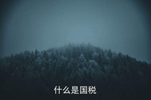 2017年國稅是什么，2017年我國財(cái)政稅收是多少