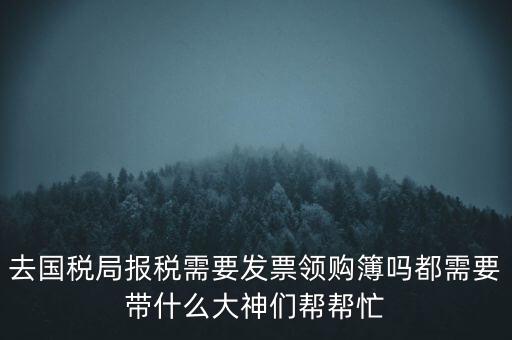 去國(guó)稅局報(bào)稅需要發(fā)票領(lǐng)購(gòu)簿嗎都需要帶什么大神們幫幫忙