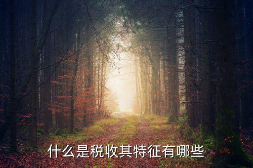 稅收的特點(diǎn)是什么意思，稅收的實(shí)質(zhì)和特征