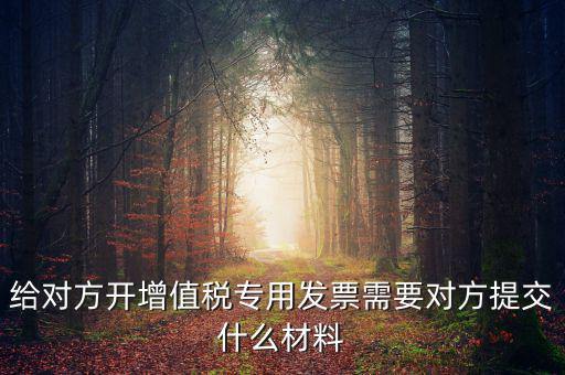 開專票要什么資料，加油卡開增值稅專用發(fā)票需要什么資料