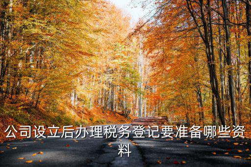 公司設(shè)立后辦理稅務(wù)登記要準(zhǔn)備哪些資料